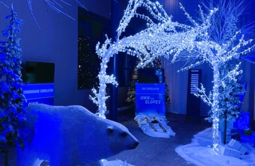 Winter Wonderland Themed Event'